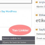 yan-linkler