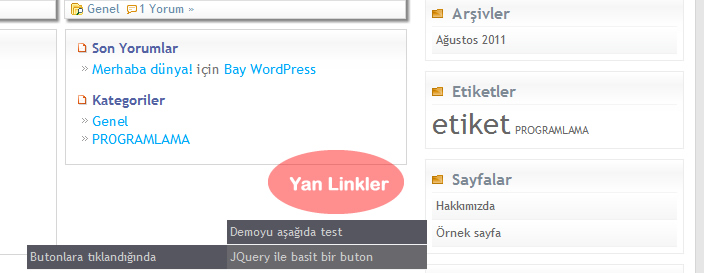 yan-linkler